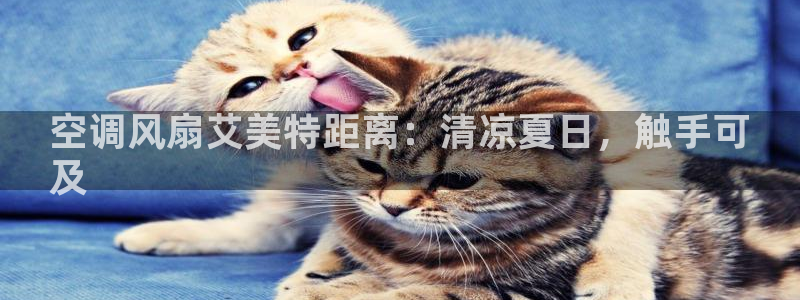 凯发k8娱乐|k808.vip：空调风扇艾美特距离：清凉夏日，触手可
及