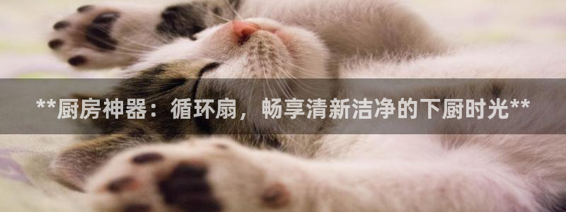 凯发k8官方旗舰店app：**厨房神器：循环扇，畅享清新洁净的下厨时光**