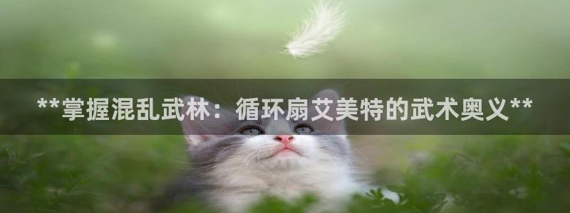 凯发网官网：**掌握混乱武林：循环扇艾美特的武术奥义**