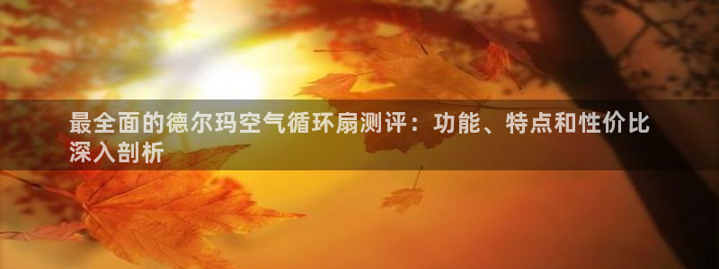 凯发平台轻7O777：最全面的德尔玛空气循环扇测评：功能、特点和性价比
深入剖析