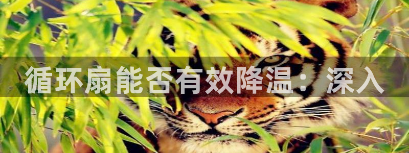 凯发k8旗舰厅yue来就送38：循环扇能否有效降温：深入