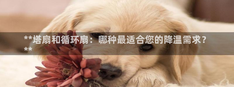 凯发唯一官方网站：**塔扇和循环扇：哪种最适合您的降温需求？
**