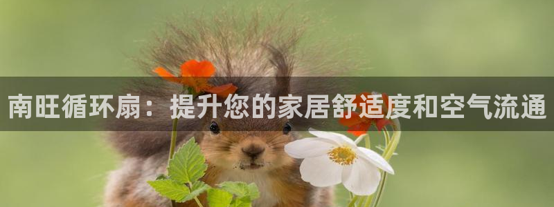 l凯发国际官网：南旺循环扇：提升您的家居舒适度和空气流通