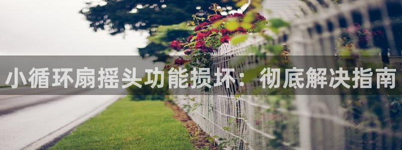 凯发国际k8官网登录：小循环扇摇头功能损坏：彻底解决指南