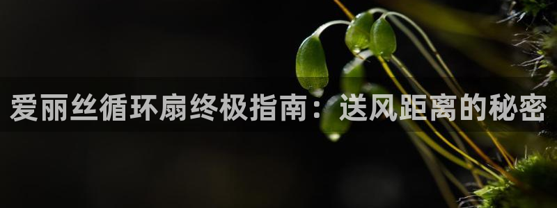 凯发国际官网下载：爱丽丝循环扇终极指南：送风距离的秘密