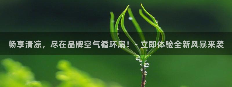 凯发k8国际不能提款了吗：畅享清凉，尽在品牌空气循环扇！- 立即体验全新风暴来袭