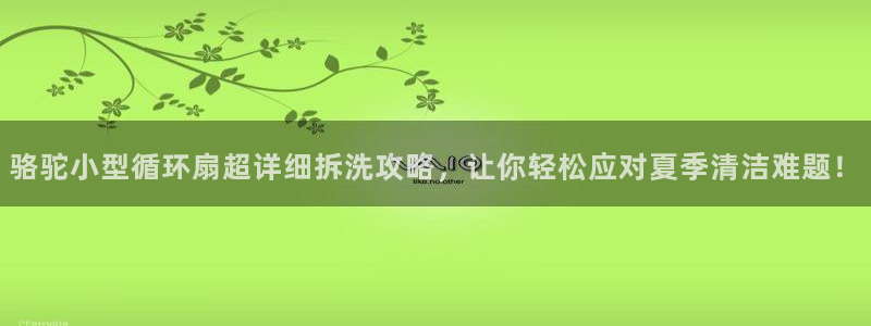 凯发登录网址：骆驼小型循环扇超详细拆洗攻略，让你轻松应对夏季清洁难题！