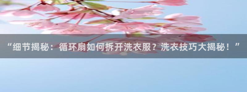 凯发k8官方旗舰店app：“细节揭秘：循环扇如何拆开洗衣服？洗衣技巧大揭秘！”