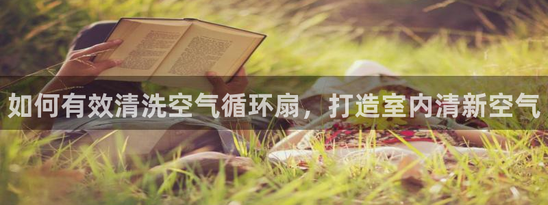 凯发K8登录入口：如何有效清洗空气循环扇，打造室内清新空气