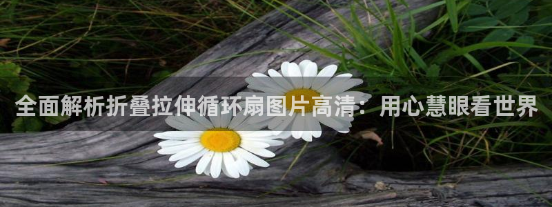 凯发k8手机是正品吗多少钱：全面解析折叠拉伸循环扇图片高清：用心慧眼看世界