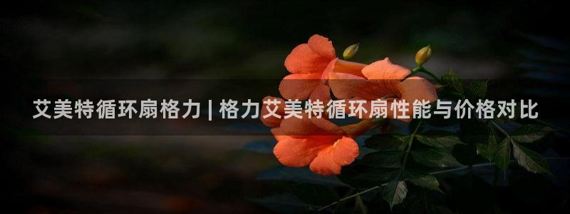 凯发国际平台登录不上：艾美特循环扇格力 | 格力艾美特循环扇性能与价格对比