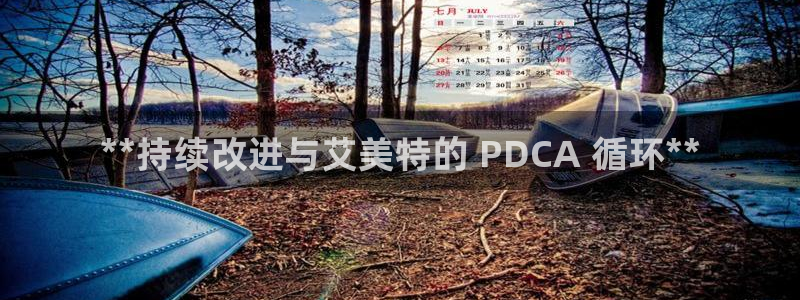 凯发k8手机是正品吗知乎：**持续改进与艾美特的 PDCA 循环**