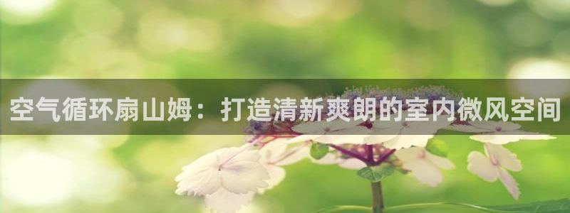 凯发k8娱乐是真实的吗：空气循环扇山姆：打造清新爽朗的室内微风空间