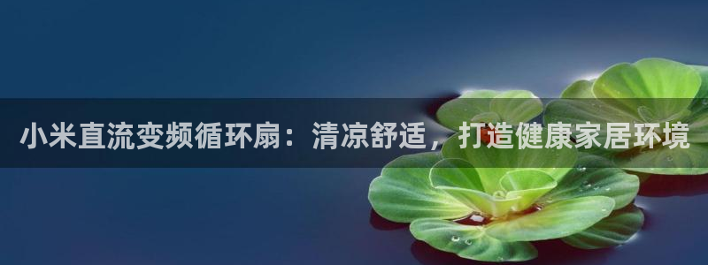 凯发k8娱乐注册登录：小米直流变频循环扇：清凉舒适，打造健康家居环境