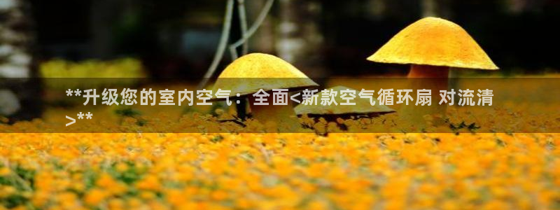 凯发k8全球公开：**升级您的室内空气：全面<新款空气循环扇 对流清
>**