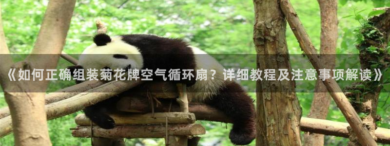 凯发k8旗舰厅yue来就送38：《如何正确组装菊花牌空气循环扇？详细教程及注意事项解读》
