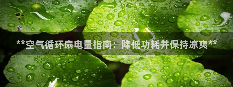 凯发k8官网do选来就送38：**空气循环扇电量指南：降低功耗并保持凉爽**