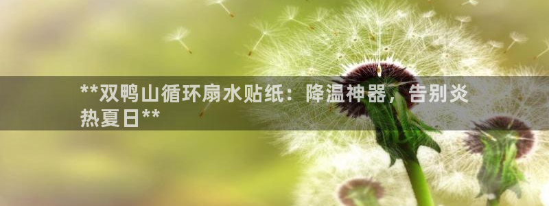 凯发网网站：**双鸭山循环扇水贴纸：降温神器，告别炎
热夏日**