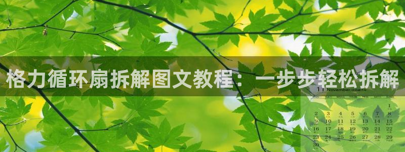 凯发app可信吗：格力循环扇拆解图文教程：一步步轻松拆解