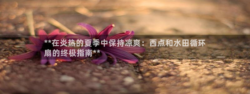 凯发在线官网登录下载：**在炎热的夏季中保持凉爽：西点和水田循环
扇的终极指南**