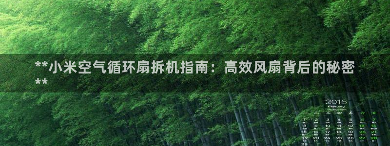 凯发旗舰平台：**小米空气循环扇拆机指南：高效风扇背后的秘密
**