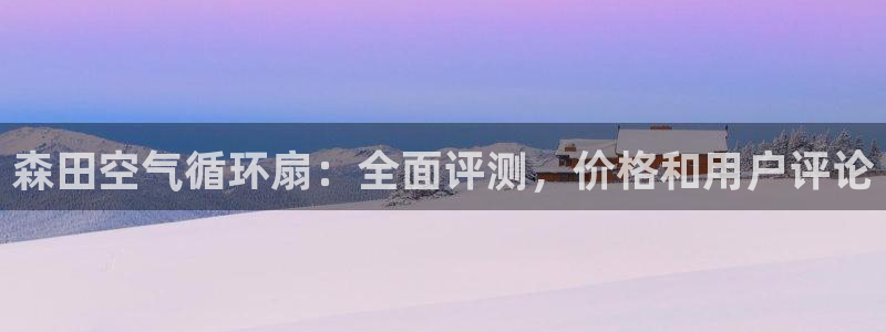 凯发k8ag旗舰厅网址：森田空气循环扇：全面评测，价格和用户评论