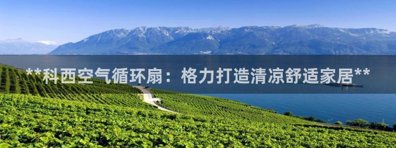 凯发k8国际真人娱乐旗舰厅：**科西空气循环扇：格力打造清凉舒适家居**
