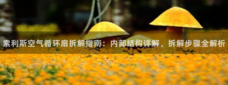 凯发娱乐官网登录：索利斯空气循环扇拆解指南：内部结构详解、拆解步骤全解析