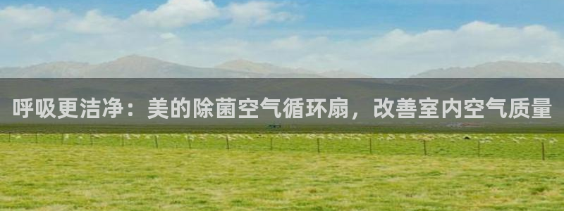 凯发国际平台登录不上：呼吸更洁净：美的除菌空气循环扇，改善室内空气质量