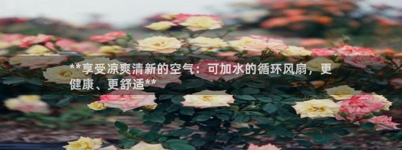 凯发旗舰：**享受凉爽清新的空气：可加水的循环风扇，更
健康、更舒适**