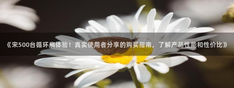 凯发国际平台首页：《宋500台循环扇体验！真实使用者分享的购买指南，了解产品性能和性价比》