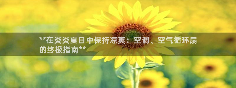 凯发娱乐k8国际：**在炎炎夏日中保持凉爽：空调、空气循环扇
的终极指南**