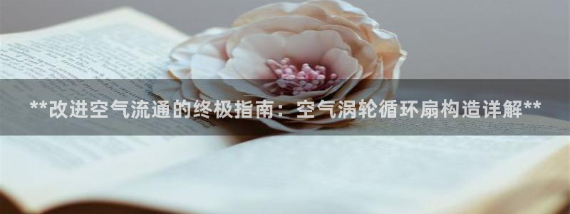 凯发旗舰平台：**改进空气流通的终极指南：空气涡轮循环扇构造详解**