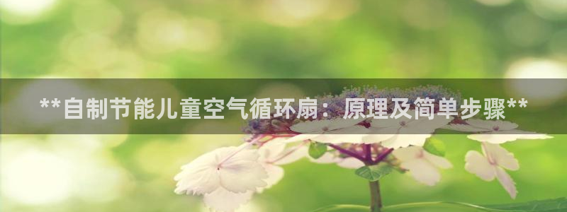 凯发娱乐官方网：**自制节能儿童空气循环扇：原理及简单步骤**