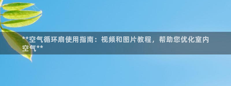 凯发k8登录首页：**空气循环扇使用指南：视频和图片教程，帮助您优化室内
空气**