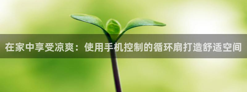 凯发k8娱乐注册登录：在家中享受凉爽：使用手机控制的循环扇打造舒适空间