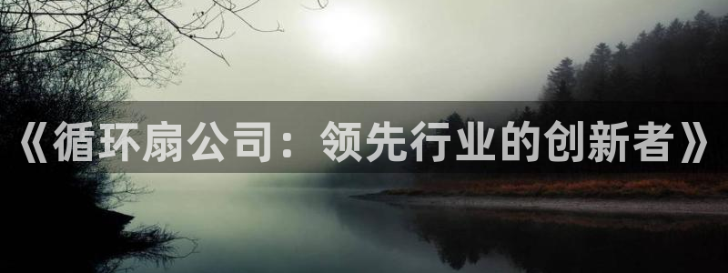 凯发就来凯发天生赢家一触即发：《循环扇公司：领先行业的创新者》