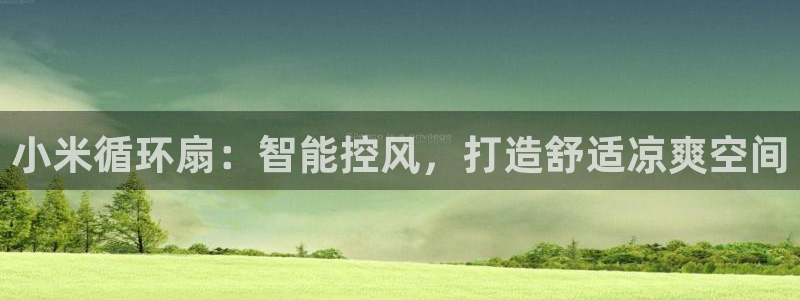 凯发网址直营：小米循环扇：智能控风，打造舒适凉爽空间