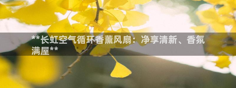 凯发国际平台首页：**长虹空气循环香薰风扇：净享清新、香氛
满屋**