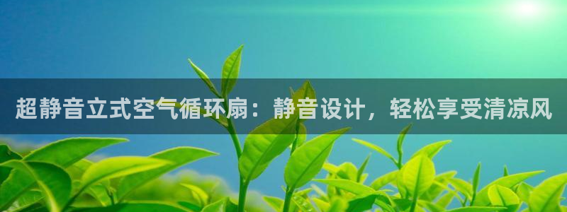 l凯发国际官网：超静音立式空气循环扇：静音设计，轻松享受清凉风