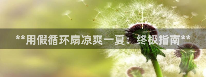 凯发国际网址官网：**用假循环扇凉爽一夏：终极指南**