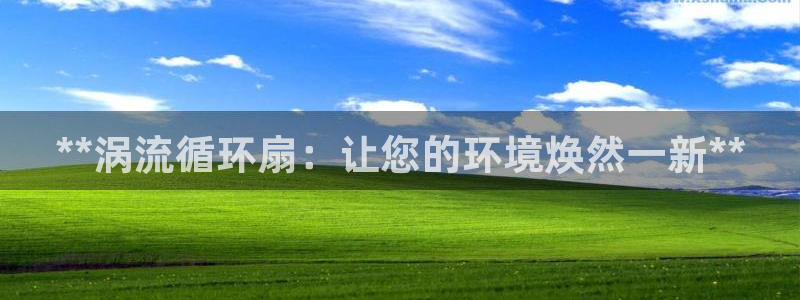 凯发k8国际 不能提款了：**涡流循环扇：让您的环境焕然一新**