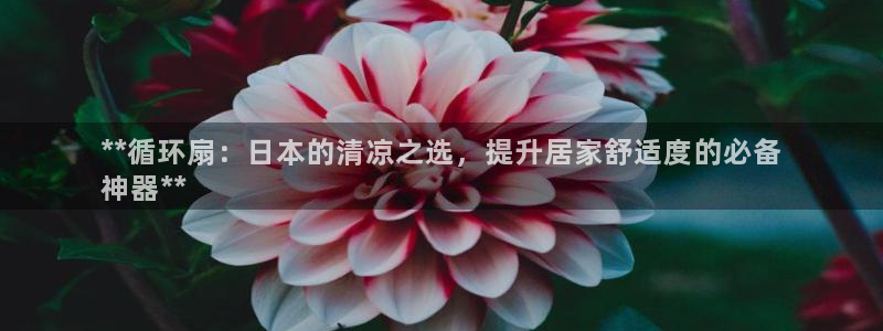 凯发k8国际版官网：**循环扇：日本的清凉之选，提升居家舒适度的必备
神器**