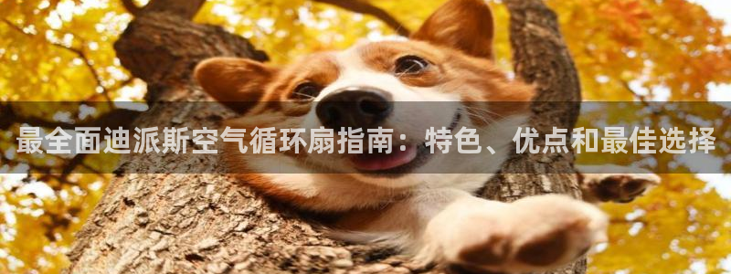 l凯发国际官网：最全面迪派斯空气循环扇指南：特色、优点和最佳选择